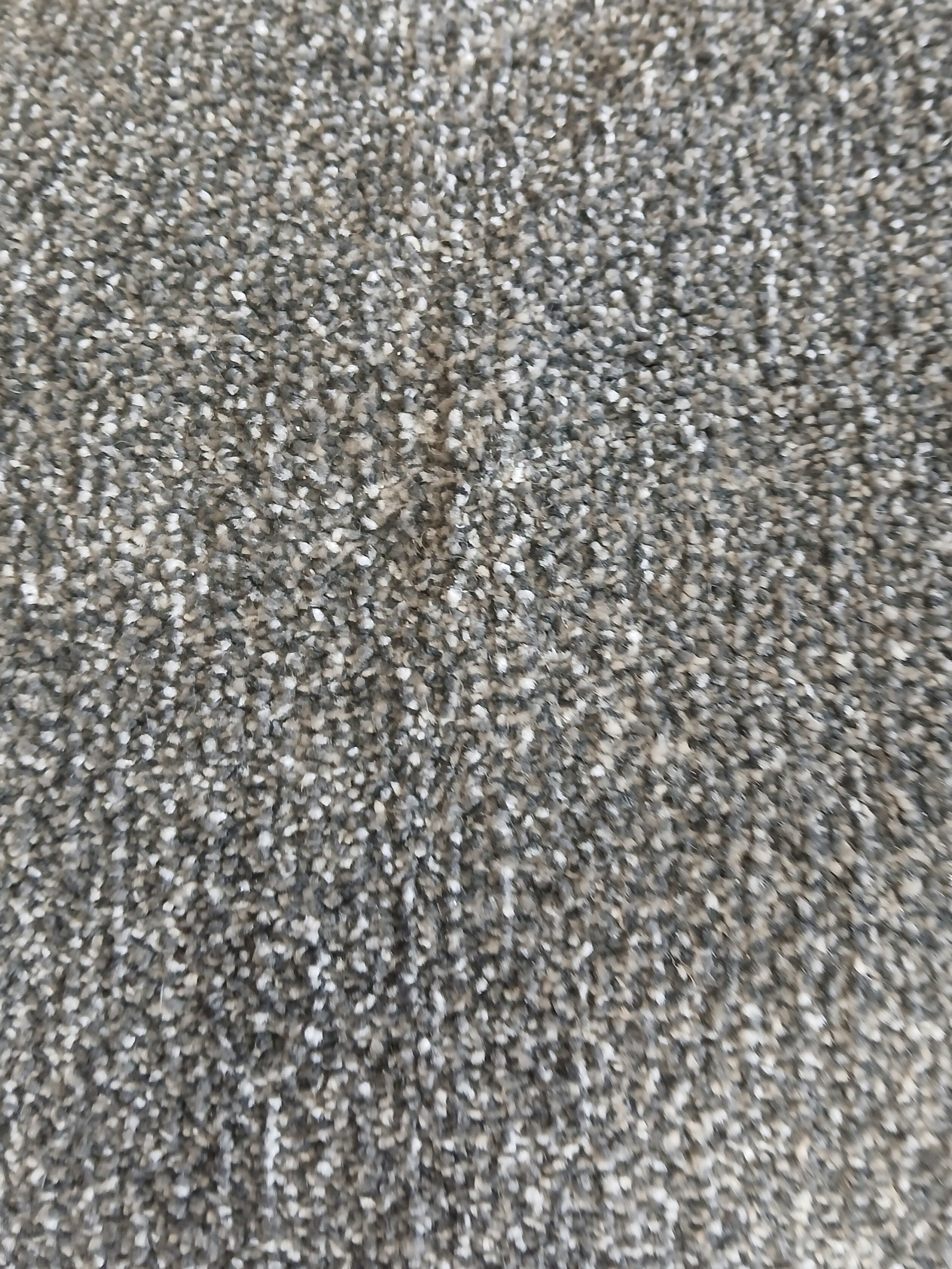 Grey Twist Pile