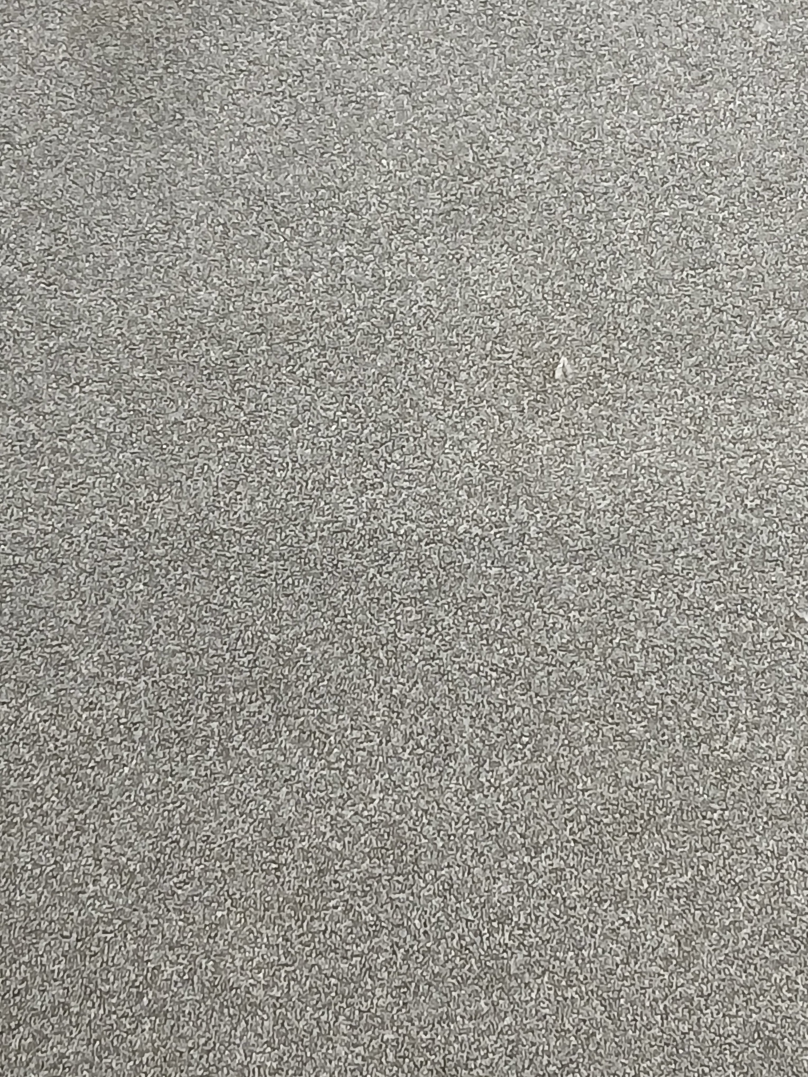 Silver Carpet